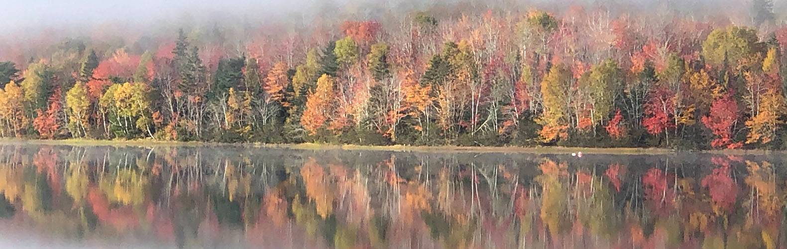 Morning on Lochiel Lake